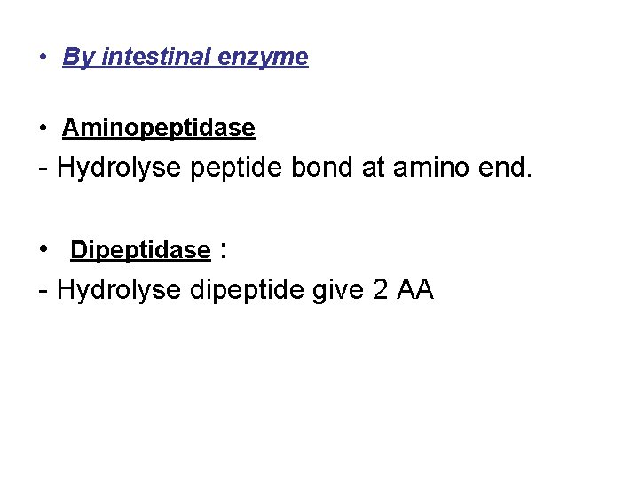  • By intestinal enzyme • Aminopeptidase - Hydrolyse peptide bond at amino end.