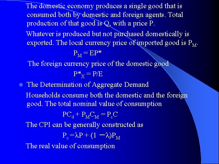 The domestic economy produces a single good that is consumed both by domestic and