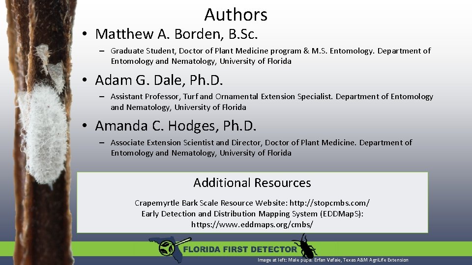 Authors • Matthew A. Borden, B. Sc. – Graduate Student, Doctor of Plant Medicine