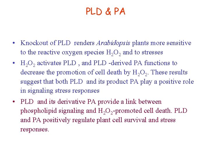 PLD & PA • Knockout of PLD renders Arabidopsis plants more sensitive to the PLD & PA • Knockout of PLD renders Arabidopsis plants more sensitive to the