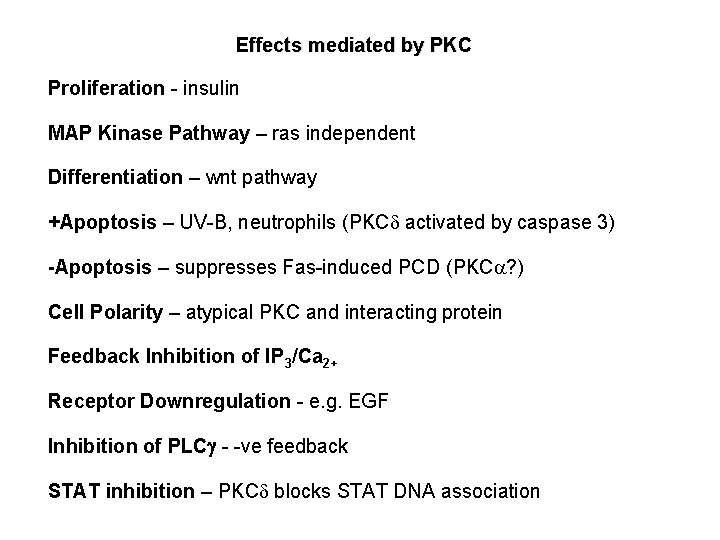 Effects mediated by PKC Proliferation - insulin MAP Kinase Pathway – ras independent Differentiation Effects mediated by PKC Proliferation - insulin MAP Kinase Pathway – ras independent Differentiation