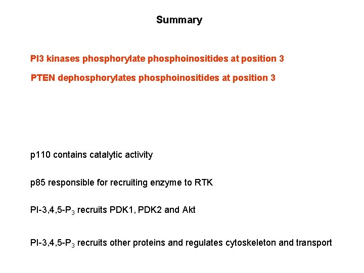 Summary PI 3 kinases phosphorylate phosphoinositides at position 3 PTEN dephosphorylates phosphoinositides at position Summary PI 3 kinases phosphorylate phosphoinositides at position 3 PTEN dephosphorylates phosphoinositides at position