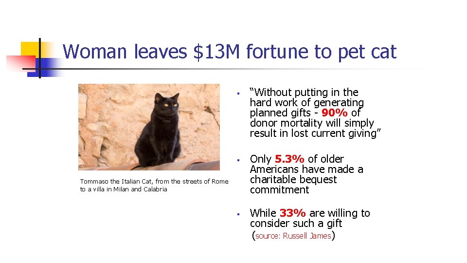 Woman leaves $13 M fortune to pet cat § § Tommaso the Italian Cat,