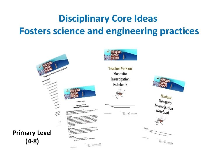 Disciplinary Core Ideas Fosters science and engineering practices Primary Level (4 -8) 