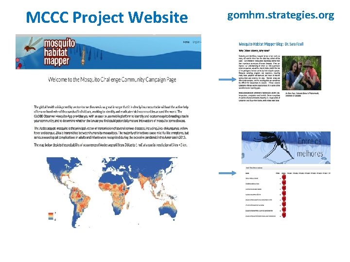 MCCC Project Website gomhm. strategies. org 