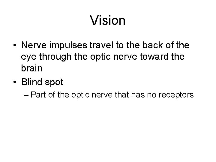 Vision • Nerve impulses travel to the back of the eye through the optic