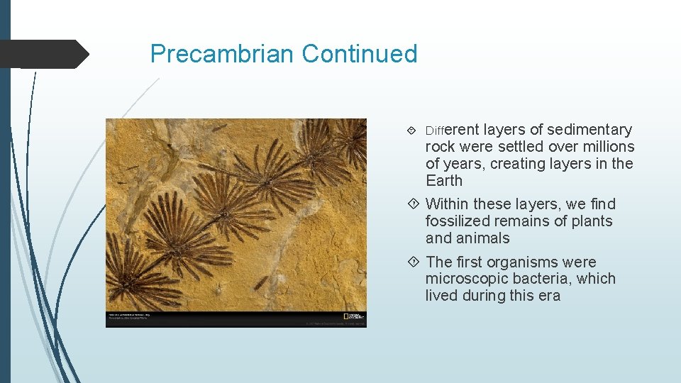 Precambrian Continued Different layers of sedimentary rock were settled over millions of years, creating Precambrian Continued Different layers of sedimentary rock were settled over millions of years, creating