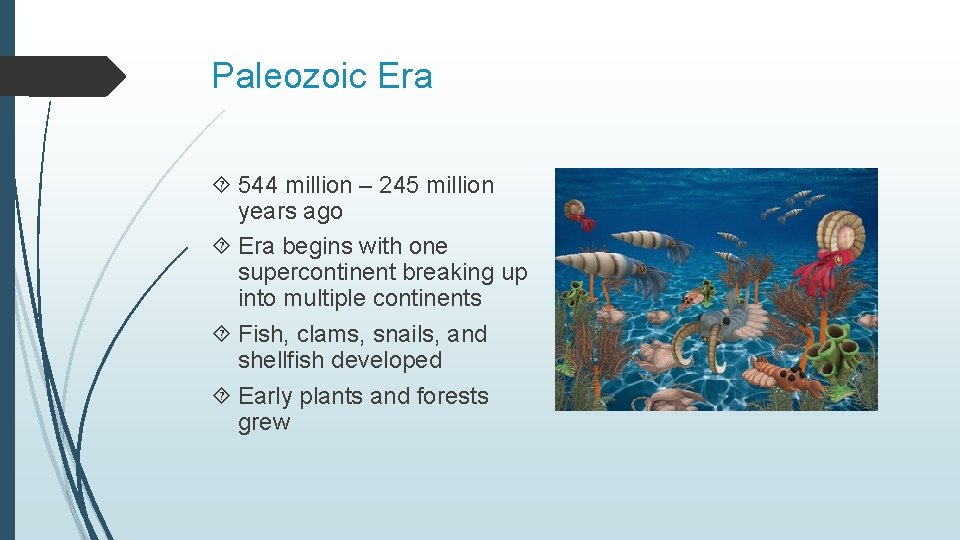 Paleozoic Era 544 million – 245 million years ago Era begins with one supercontinent Paleozoic Era 544 million – 245 million years ago Era begins with one supercontinent