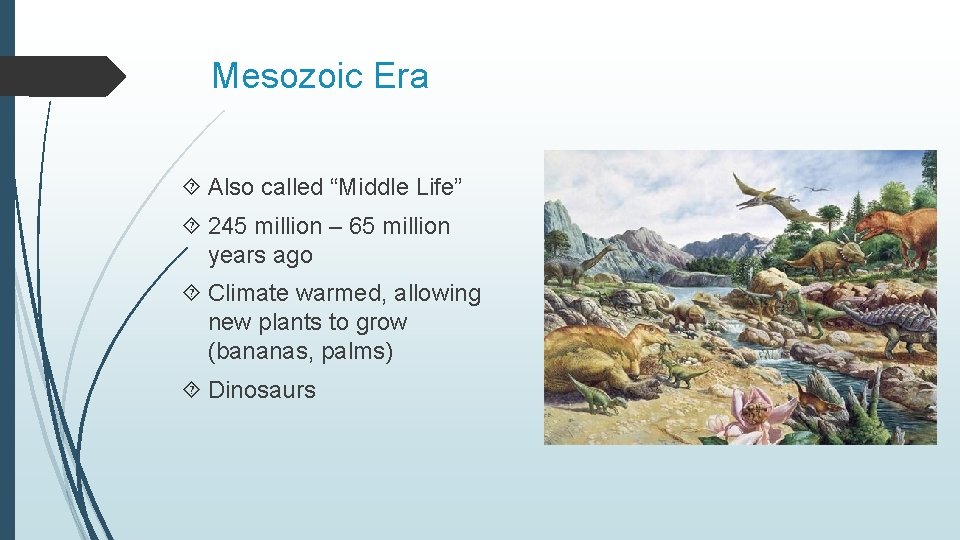 Mesozoic Era Also called “Middle Life” 245 million – 65 million years ago Climate Mesozoic Era Also called “Middle Life” 245 million – 65 million years ago Climate