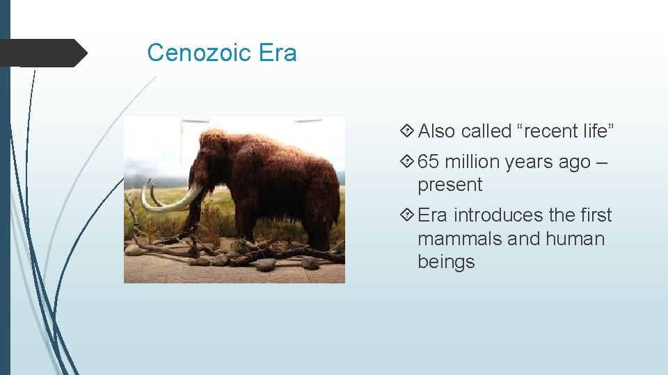 Cenozoic Era Also called “recent life” 65 million years ago – present Era introduces Cenozoic Era Also called “recent life” 65 million years ago – present Era introduces