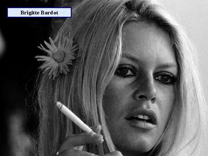 Brigitte Bardot 
