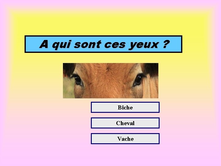 A qui sont ces yeux ? Biche Cheval Vache 