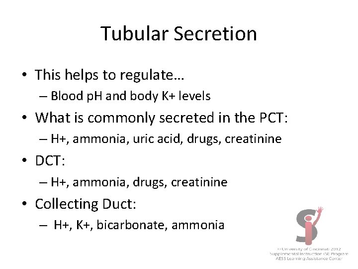 Tubular Secretion • This helps to regulate… – Blood p. H and body K+