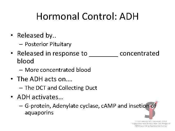 Hormonal Control: ADH • Released by. . – Posterior Pituitary • Released in response