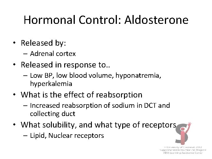 Hormonal Control: Aldosterone • Released by: – Adrenal cortex • Released in response to.