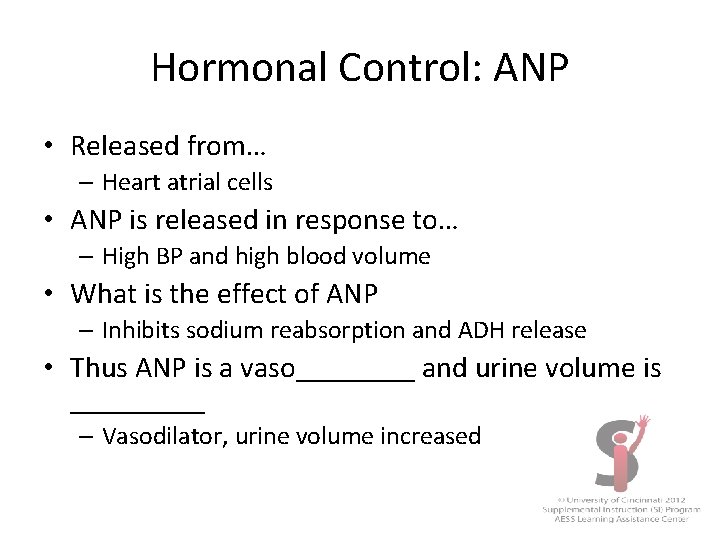 Hormonal Control: ANP • Released from… – Heart atrial cells • ANP is released