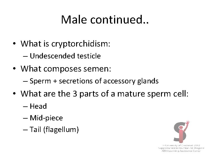 Male continued. . • What is cryptorchidism: – Undescended testicle • What composes semen: