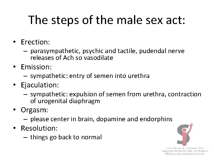 The steps of the male sex act: • Erection: – parasympathetic, psychic and tactile,