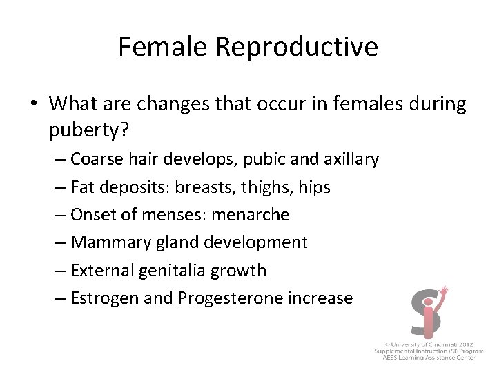 Female Reproductive • What are changes that occur in females during puberty? – Coarse