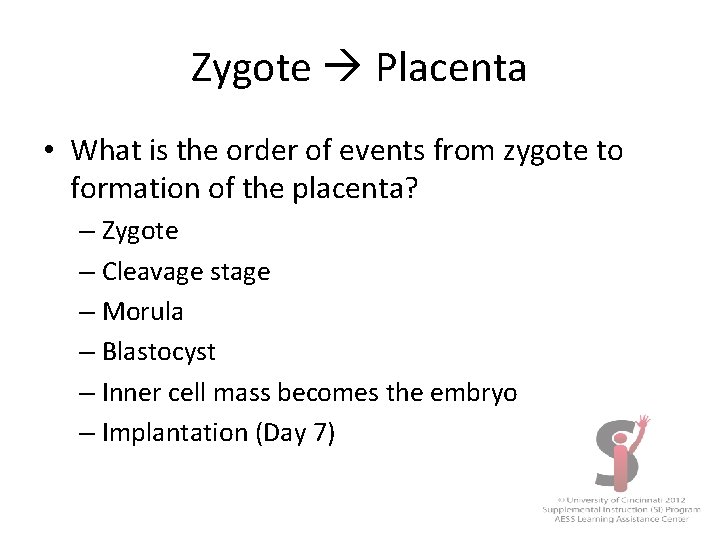 Zygote Placenta • What is the order of events from zygote to formation of