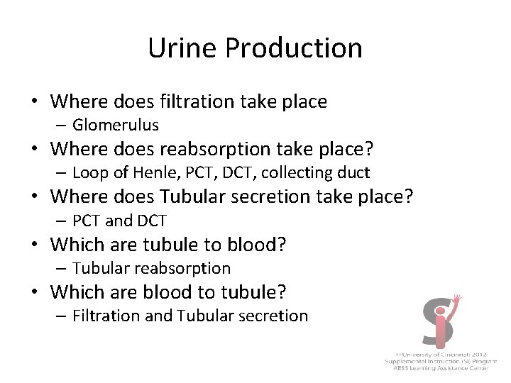 Urine Production • Where does filtration take place – Glomerulus • Where does reabsorption