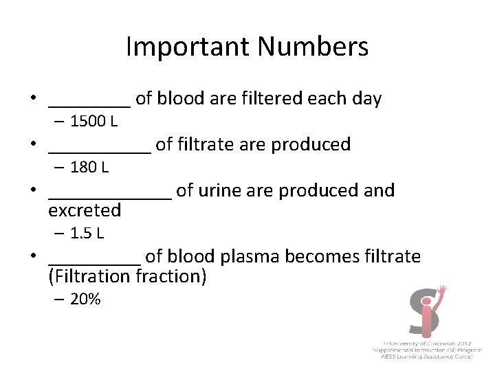 Important Numbers • ____ of blood are filtered each day – 1500 L •