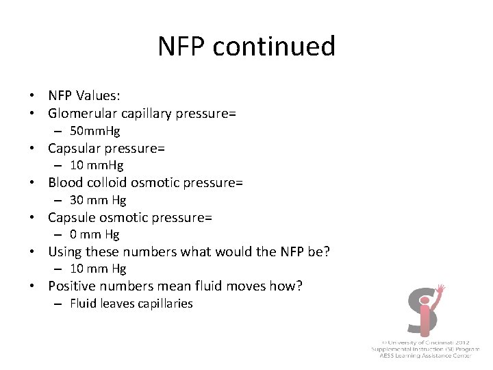 NFP continued • NFP Values: • Glomerular capillary pressure= – 50 mm. Hg •