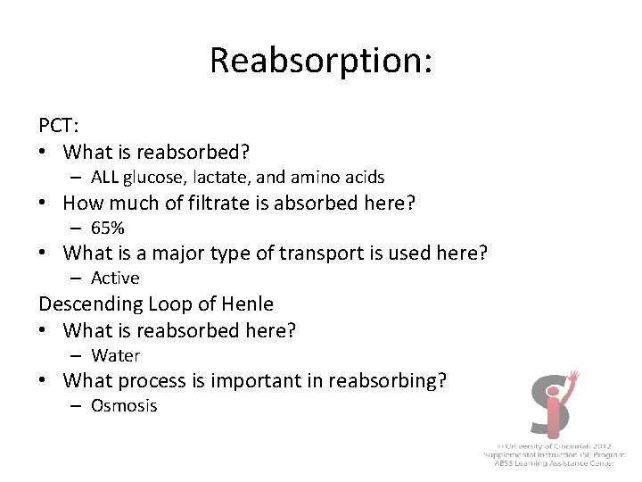 Reabsorption: PCT: • What is reabsorbed? – ALL glucose, lactate, and amino acids •