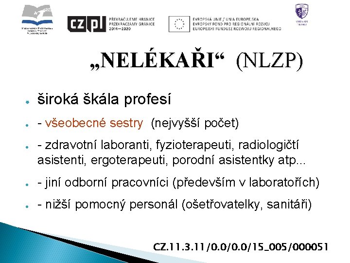 „NELÉKAŘI“ (NLZP) ● široká škála profesí ● - všeobecné sestry (nejvyšší počet) ● -