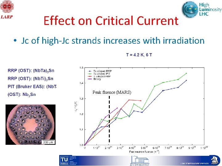 Effect on Critical Current • Jc of high-Jc strands increases with irradiation Peak fluence