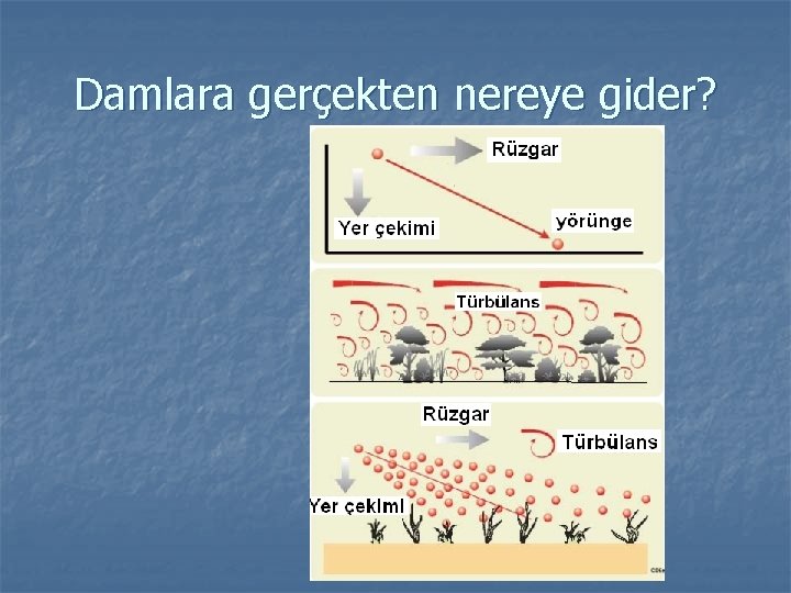 Damlara gerçekten nereye gider? 