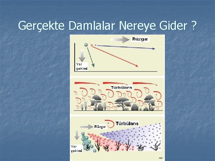 Gerçekte Damlalar Nereye Gider ? 