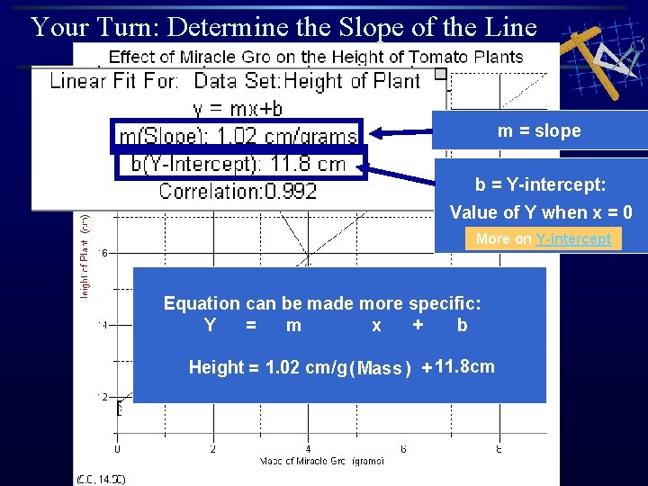 Your Turn: Determine the Slope of the Line m = slope b = Y-intercept: Your Turn: Determine the Slope of the Line m = slope b = Y-intercept: