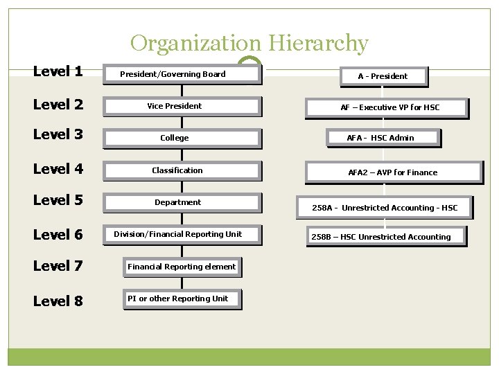 Organization Hierarchy Level 1 President/Governing Board Level 2 Vice President Level 3 College Level