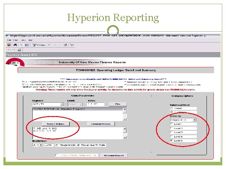 Hyperion Reporting 