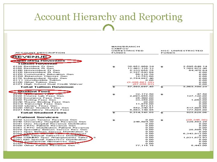 Account Hierarchy and Reporting 