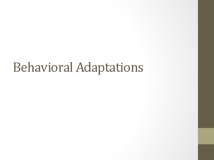 Behavioral Adaptations 