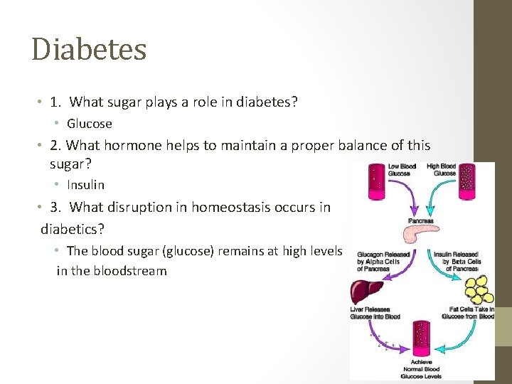Diabetes • 1. What sugar plays a role in diabetes? • Glucose • 2.