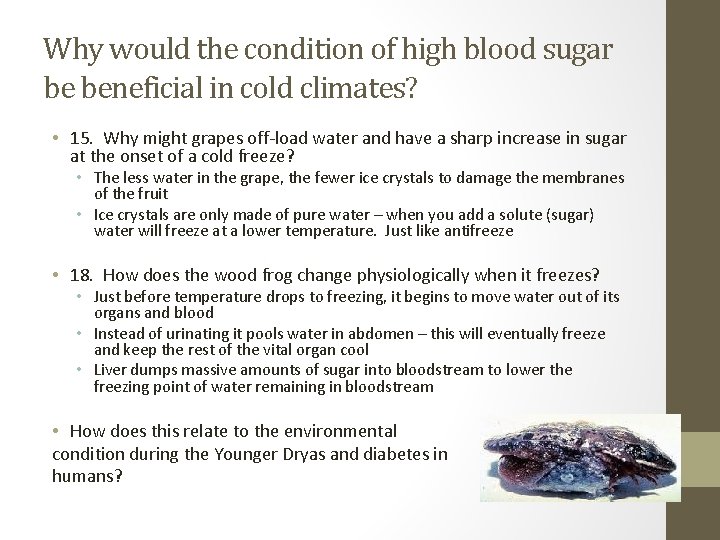 Why would the condition of high blood sugar be beneficial in cold climates? •