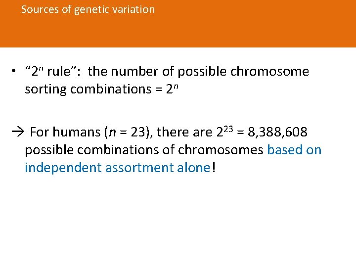 Sources of genetic variation a) Independent assortment • “ 2 n rule”: the number