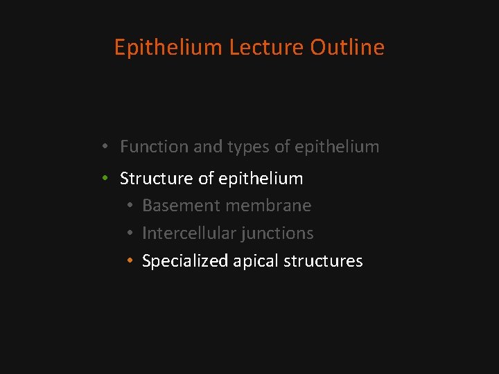Epithelium Lecture Outline • Function and types of epithelium • Structure of epithelium •