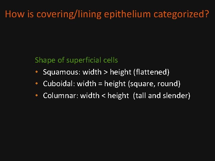 How is covering/lining epithelium categorized? Shape of superficial cells • Squamous: width > height