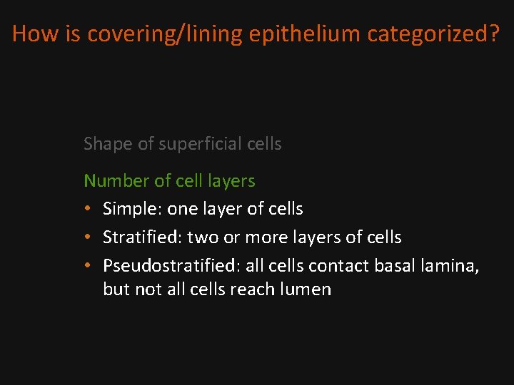 How is covering/lining epithelium categorized? Shape of superficial cells Number of cell layers •