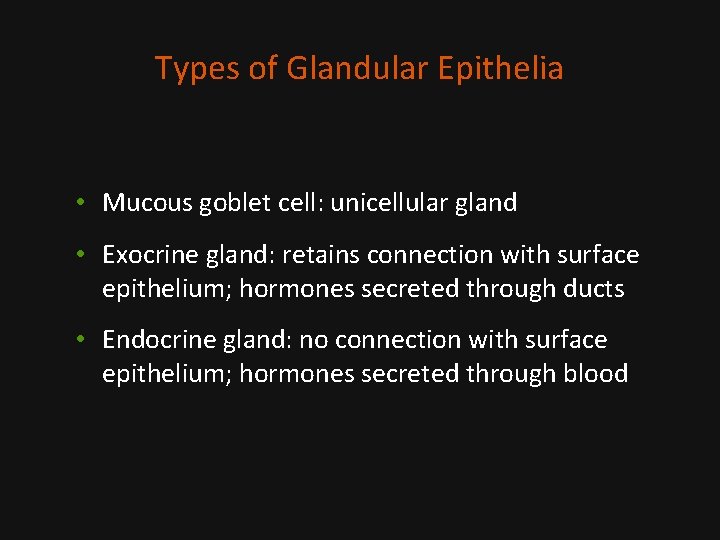 Types of Glandular Epithelia • Mucous goblet cell: unicellular gland • Exocrine gland: retains