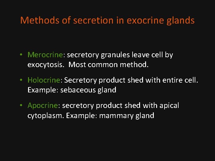 Methods of secretion in exocrine glands • Merocrine: secretory granules leave cell by exocytosis.