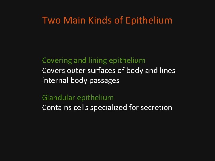 Two Main Kinds of Epithelium Covering and lining epithelium Covers outer surfaces of body