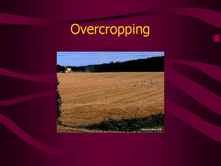 Overcropping 