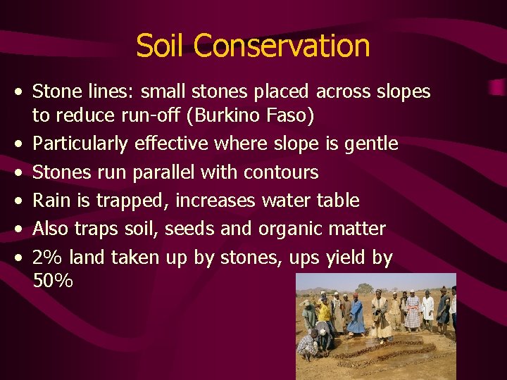 Soil Conservation • Stone lines: small stones placed across slopes to reduce run-off (Burkino