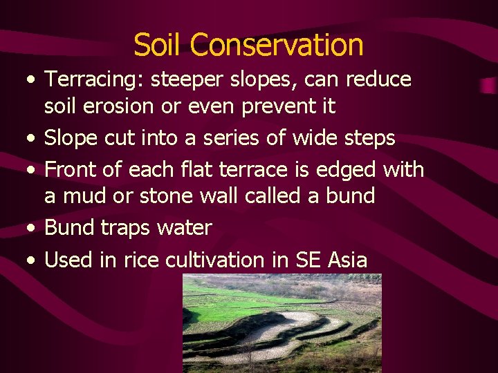 Soil Conservation • Terracing: steeper slopes, can reduce soil erosion or even prevent it