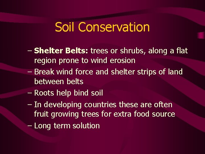 Soil Conservation – Shelter Belts: trees or shrubs, along a flat region prone to